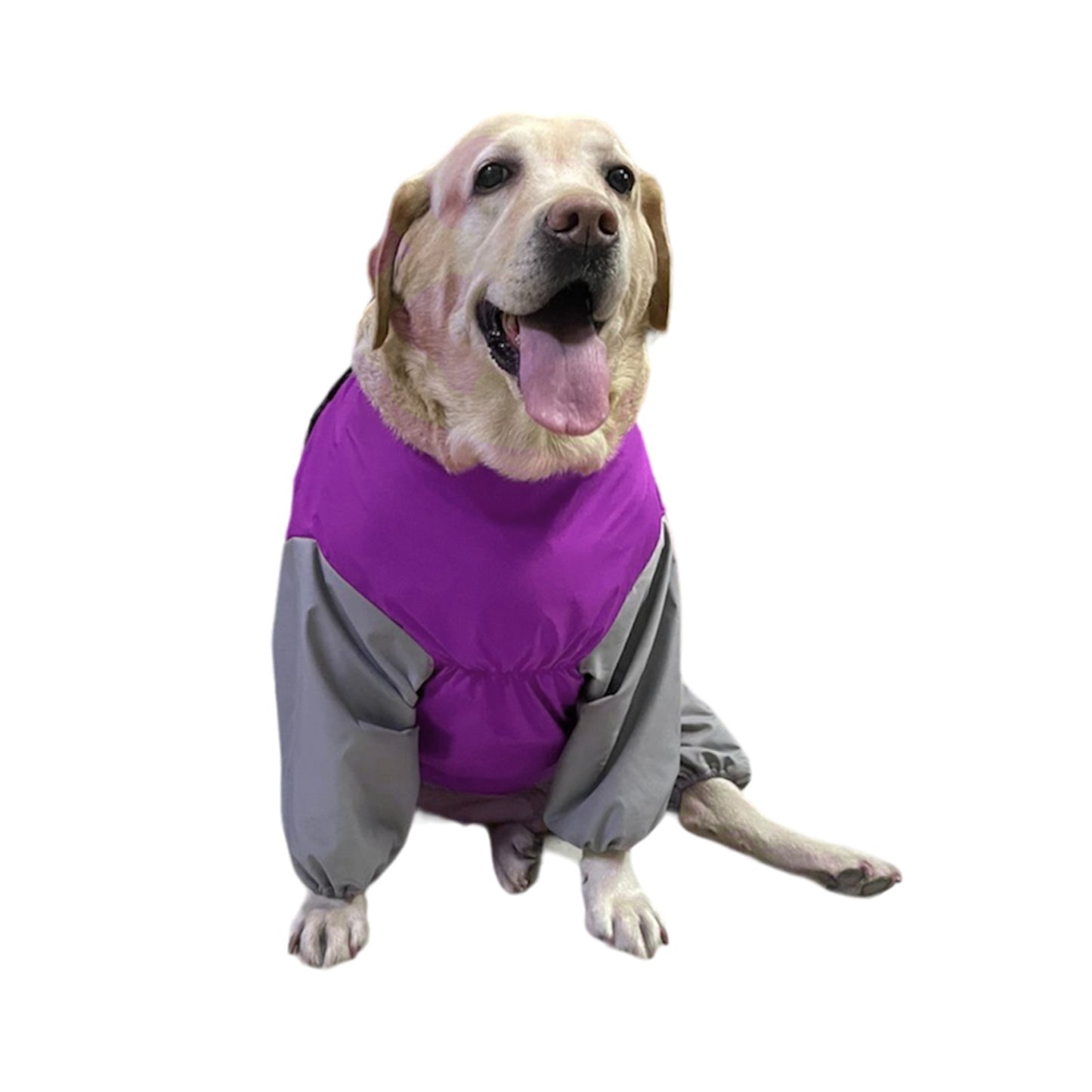 Furrfab Purple Raincoat for Dogs-Windproof & Waterproof