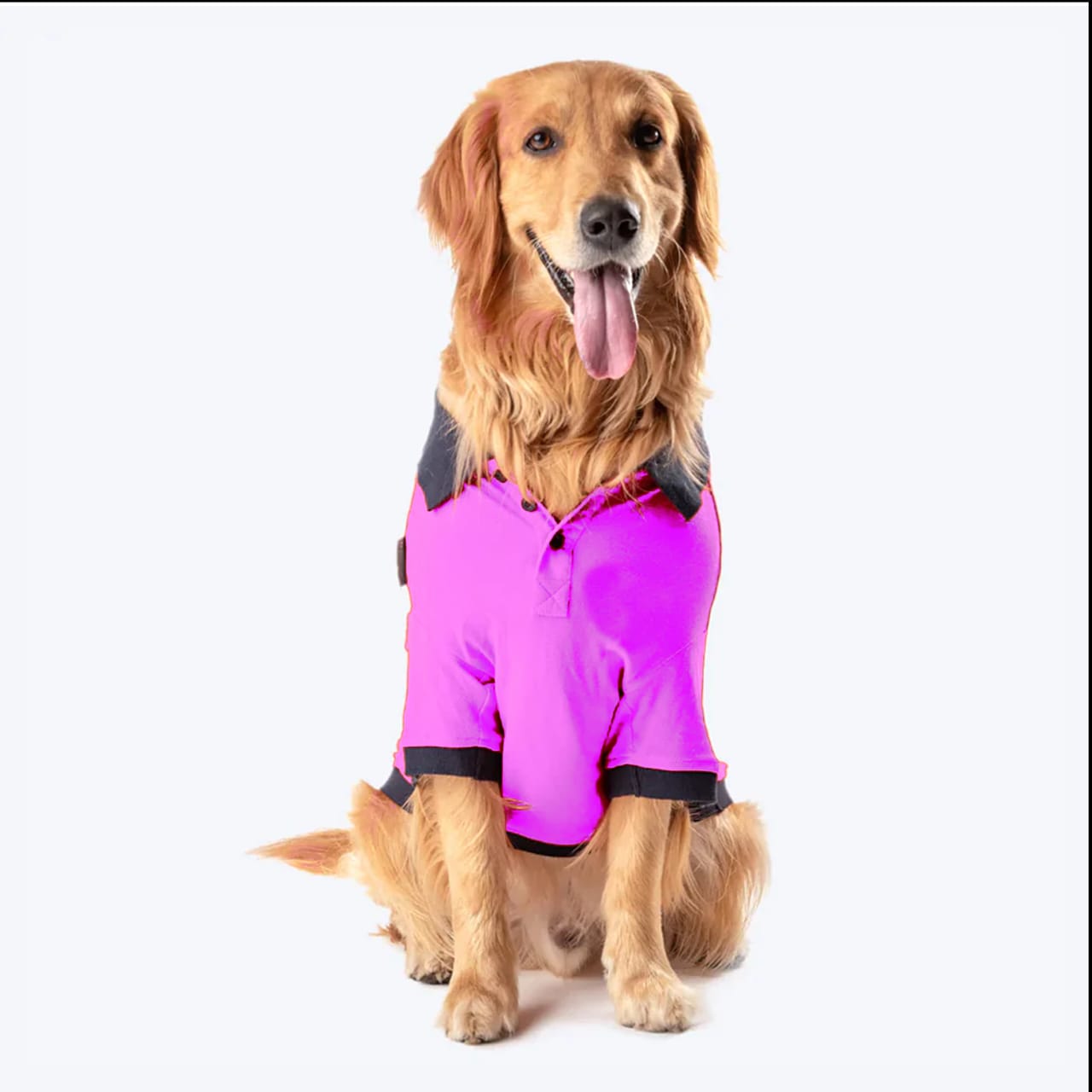 Dogs Polo T-Shirts
