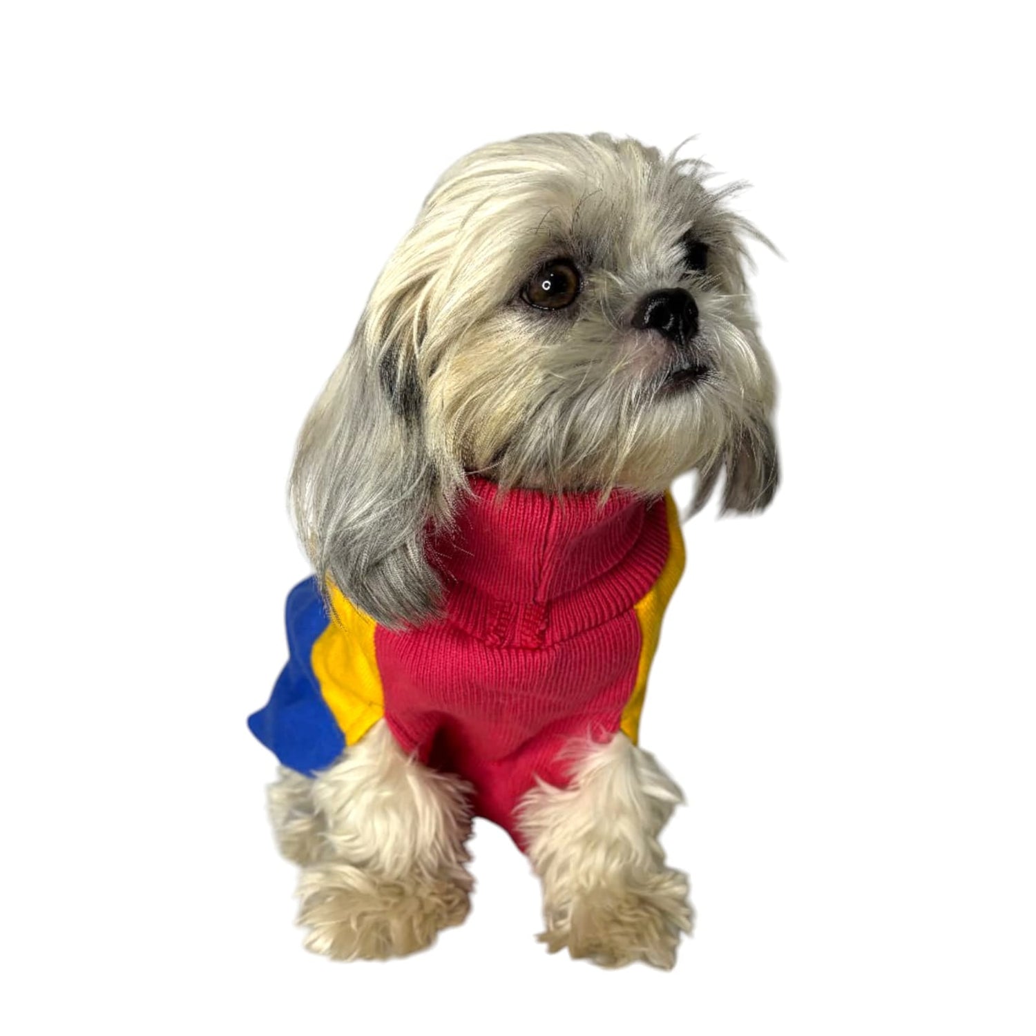 Dog Clothes