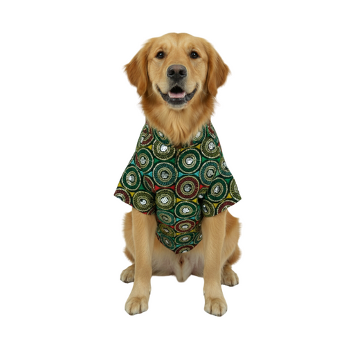 Furrfab Festive Wear Green Color Dog Sherwani