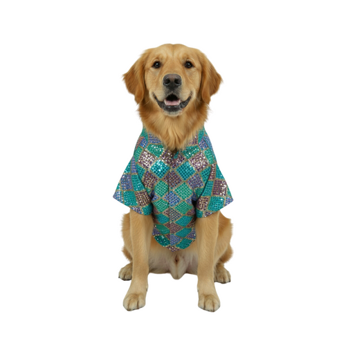 Furrfab Festive Wear Sky Blue Color Dog Sherwani
