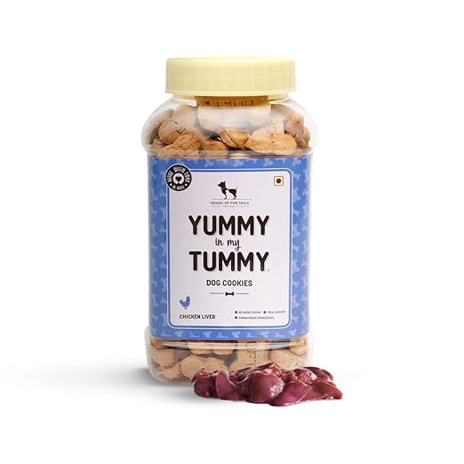HUFT Yummy in My Tummy Real Chicken Liver Dog Biscuits for Puppy & Adult Dog, 320g (Pack of 2)