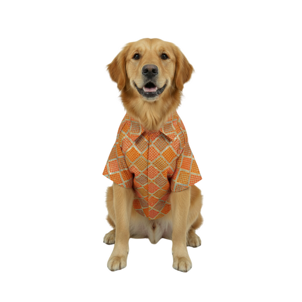 Furrfab Festive Wear Orange Color Dog Sherwani Ingredients