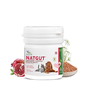 Natural Remedies Natgut Digestive 10 Tablet Ingredients