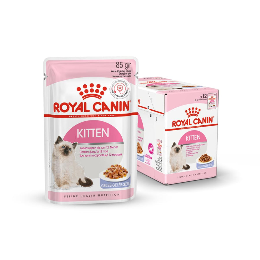 Royal Canin Kitten Jelly Wet Food For Cat