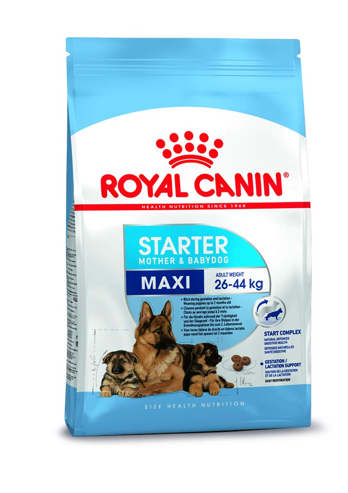 Royal Canin Maxi Starter Dry Food For Dog