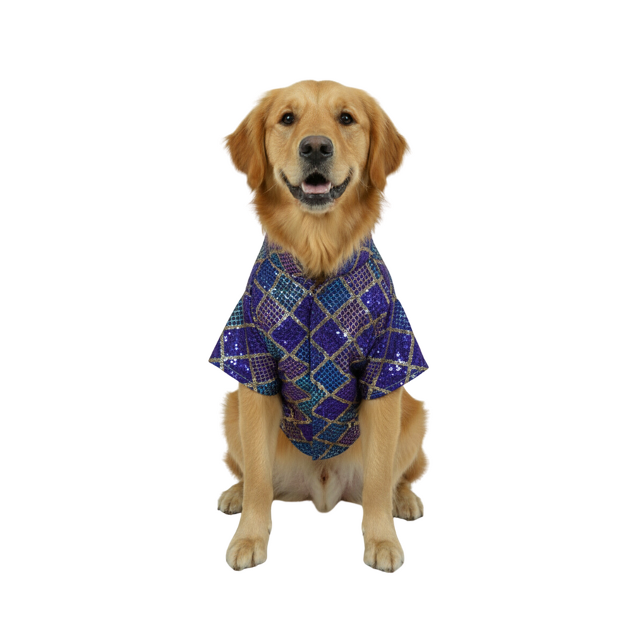 Furrfab Festive Wear Blue Color Dog Sherwani