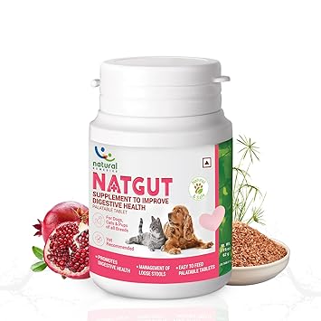 Natural Remedies Natgut Digestive 24 Tablet Ingredients