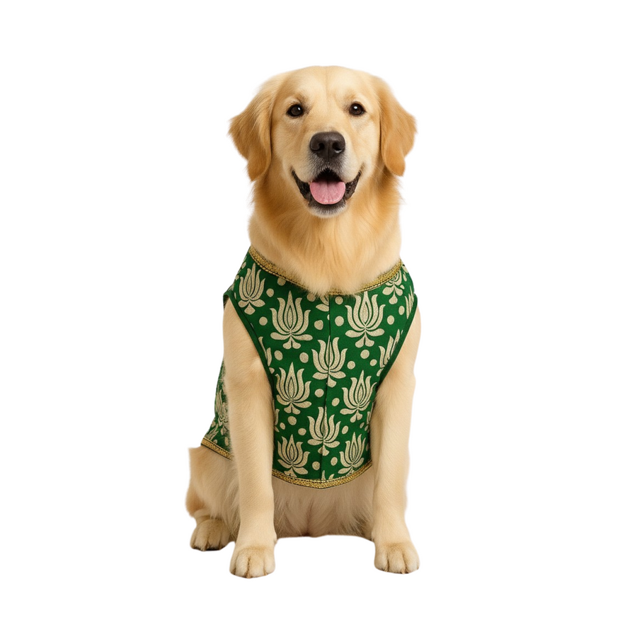 Furrfab Royal Green Color Sherwani for Dogs