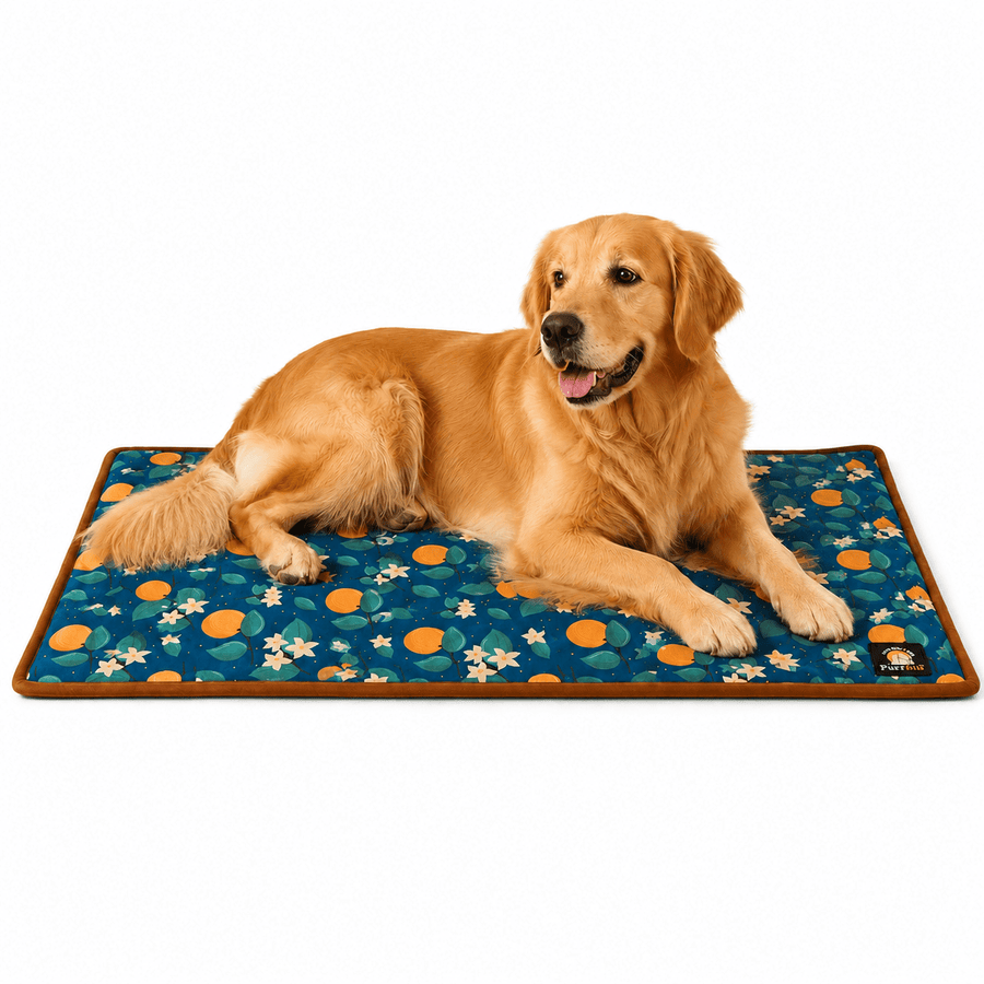 Furrfab Orange Floral Print Mat for Dog & Cat