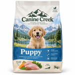 Canine Creek Puppy Photo 2