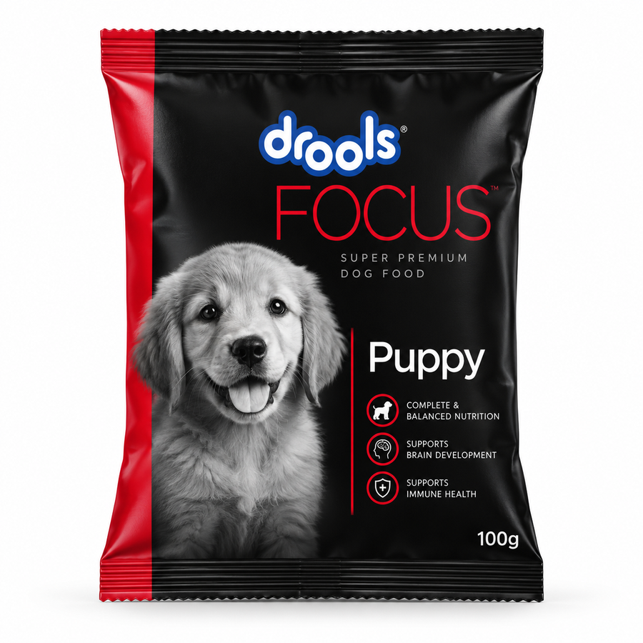 Drools Focus Starter