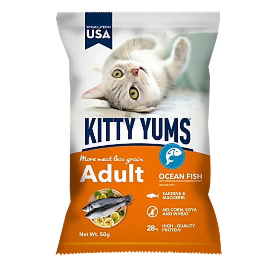 Kitty Yums Adult Dry Cat Food, Ocean Fish, 50g (Pack of 24)