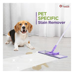 Lozalo Lavender Fragrance Liquid Disinfectant Surface Cleaner  Safe for Pets & Children | Kills Germs & Viruses | Infused with Neem, Tulsi, Turmeric, Aloe Vera | Floor Cleaner Photo 4