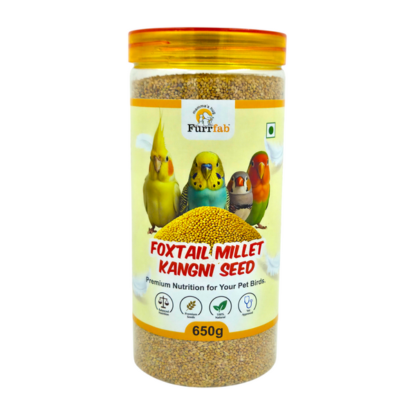 Furrfab Foxtail Millet (Kangni Seed), 650g | 100% Natural Daily Nutrition for Pet Birds Ingredients
