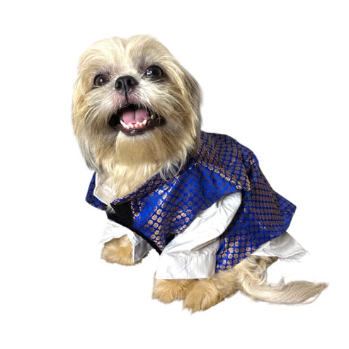 Furrfab Royal Dog Sherwani Ingredients