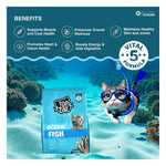 TOPTAIL Ocean Fish Food for Kitten 1-12 Month- Dry, Cat Food is Specially Crafted Chicken & Tuna Oil Support Lean Muscles, a Shiny Coat, Healthy Skin, & Joint Health | Pack of 1 Photo 9