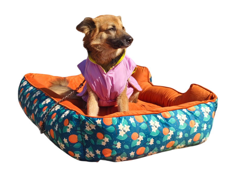 Furrfab Orange Floral Print Dog Bed