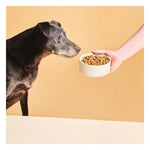 Calibra Veterinary Diet Ultra-Hypoallergenic Insect Dry Dog Food 2kg Photo 3