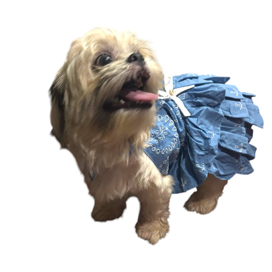 Furrfab Elegant Blue Pet Frock