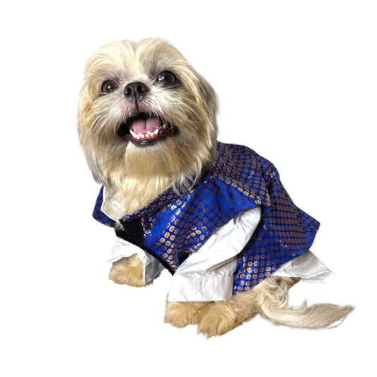 Furrfab Royal dog sherwani