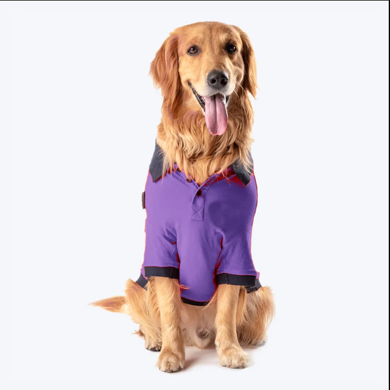 Dogs Polo T-Shirts