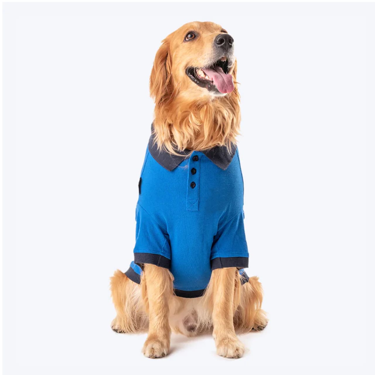 Dogs Polo T-Shirts