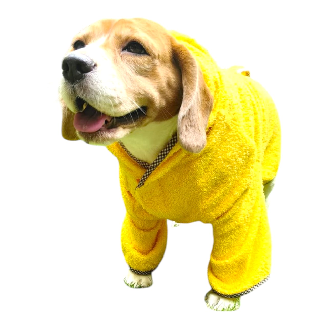 Pet Bathrobe
