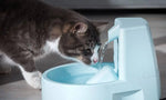 Cat Supplement 1KG ABC Photo 3