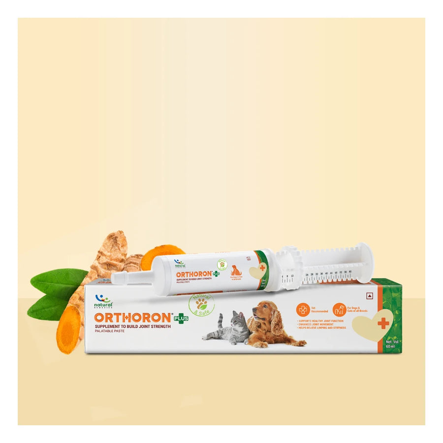Natural Remedies Orthoron Joint Support Paste 60ml