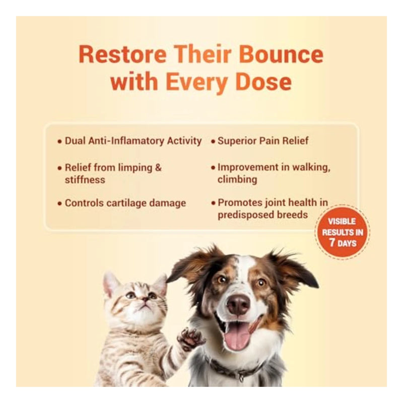 Natural Remedies Orthoron Joint Support Tablets for Dogs & Cats - Image 4