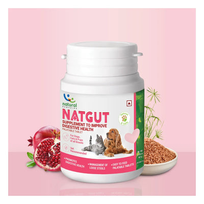 Natural Remedies Natgut Digestive Tablets for Dogs & Cats