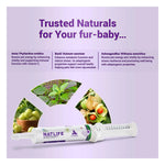 Natural Remedies Natlife Energy & Immunity Paste 30ml Photo 7