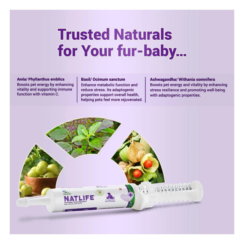 Natural Remedies Natlife Energy & Immunity Paste 30ml - Image 7