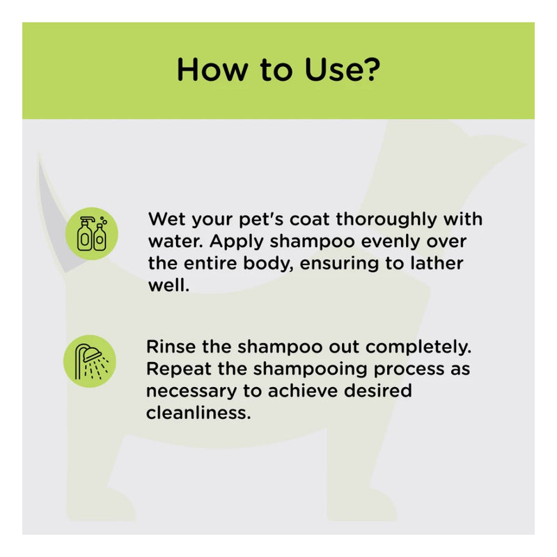 Intas Conaseb Medicated Shampoo 100 ml - Image 2
