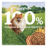 Purina Friskies Small Breed Adult Chicken Dry Dog Food 2.5kg Photo 11