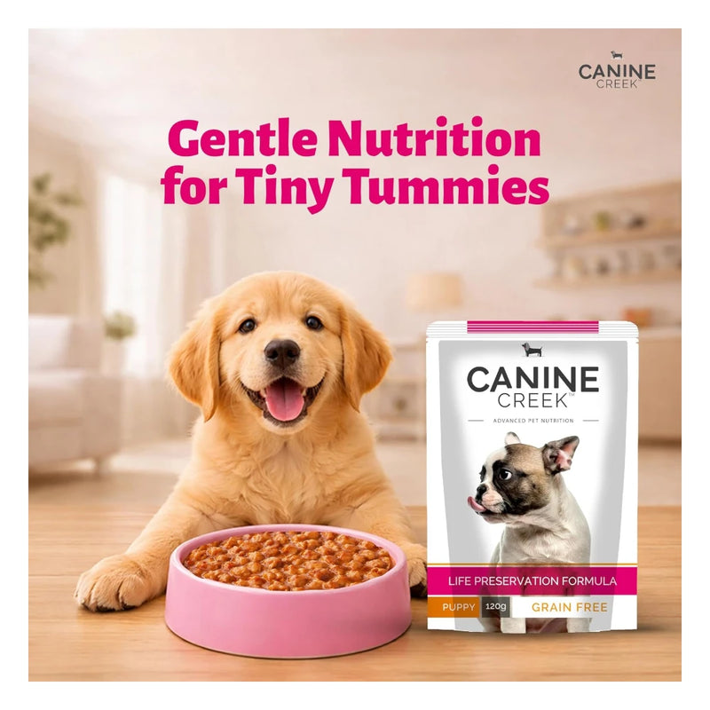 Canine Creek Chunks Gravy Puppy - Image 7