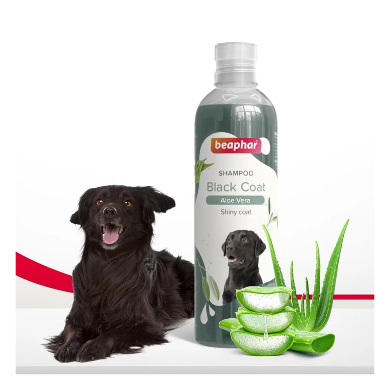 Beaphar Black Coat Shampoo for Dogs 250ml - Image 2