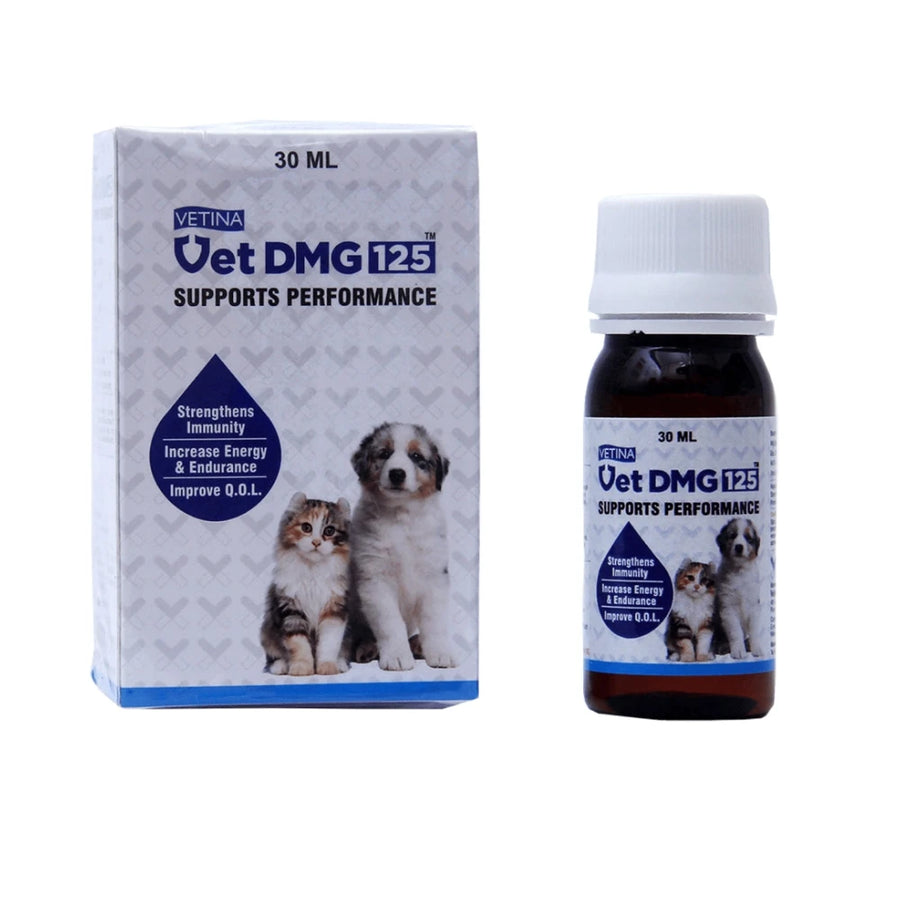 Vet DMG 125 Liquid (15 ml)