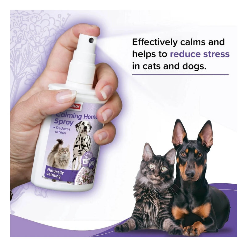 Beaphar Calming Home Spray for Dogs & Cats 125ml - Image 2