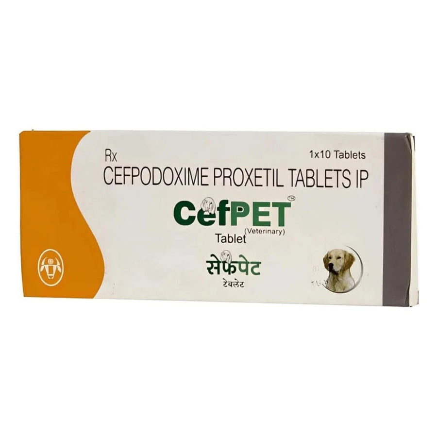 Intas Cefpet 100mg Tablets for Dogs