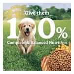 Purina Friskies Chicken & Meat Puppy Dry Dog Food 2.5kg Photo 12