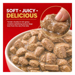 Drools Chicken Chunks Gravy Adult Photo 6