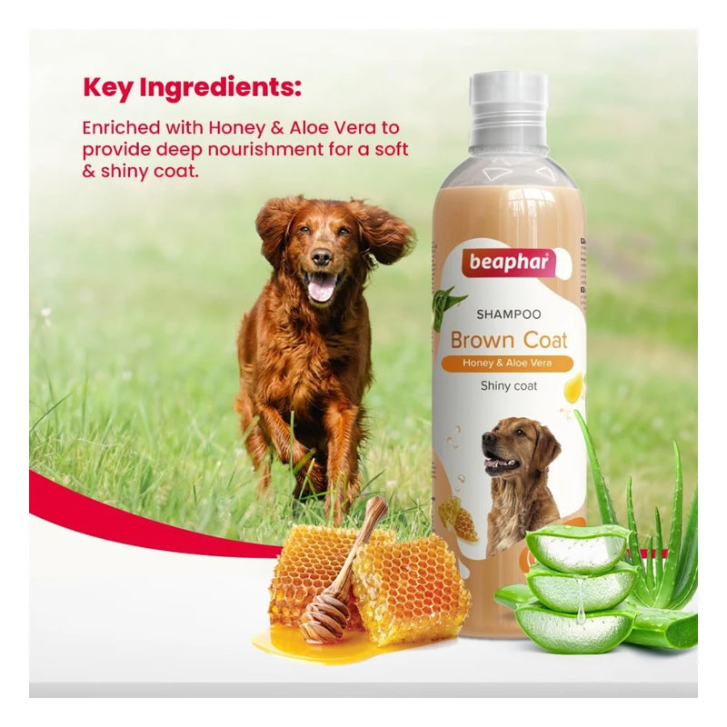 Beaphar Brown Coat Shampoo for Dogs 250ml - Image 7