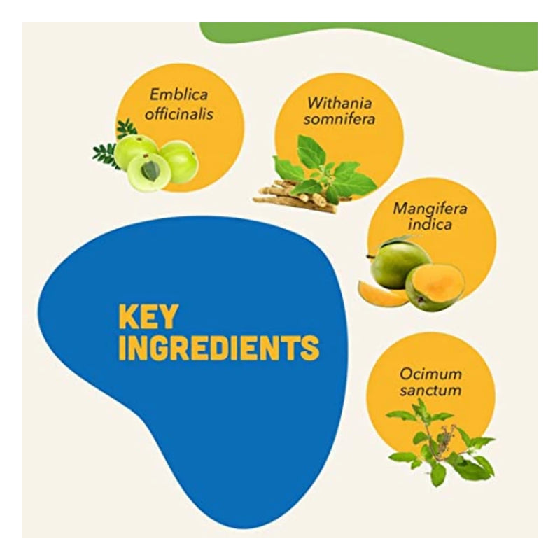 Natural Remedies Immunity Bites Dog Treats 75g - Image 3