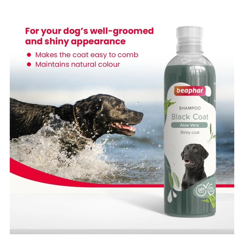 Beaphar Black Coat Shampoo for Dogs 250ml - Image 6
