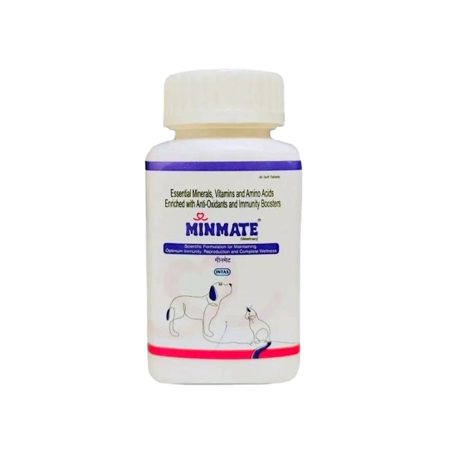 Intas Minmate Multivitamin Tablets for Dogs & Cats – 30 Tablets