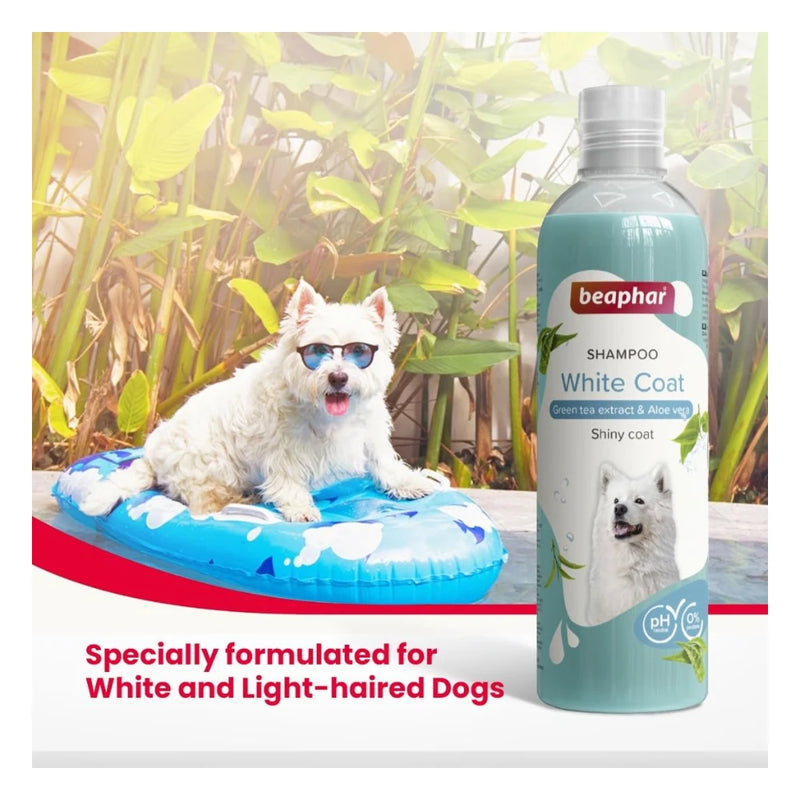 Beaphar White Coat Shampoo for Dogs - Image 3
