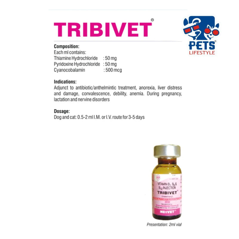 Intas Tribivet B1 B6 B12 Injection 2ml - Image 2