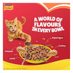 Purina Friskies Chicken & Meat Adult Dry Cat Food 10kg Photo 5